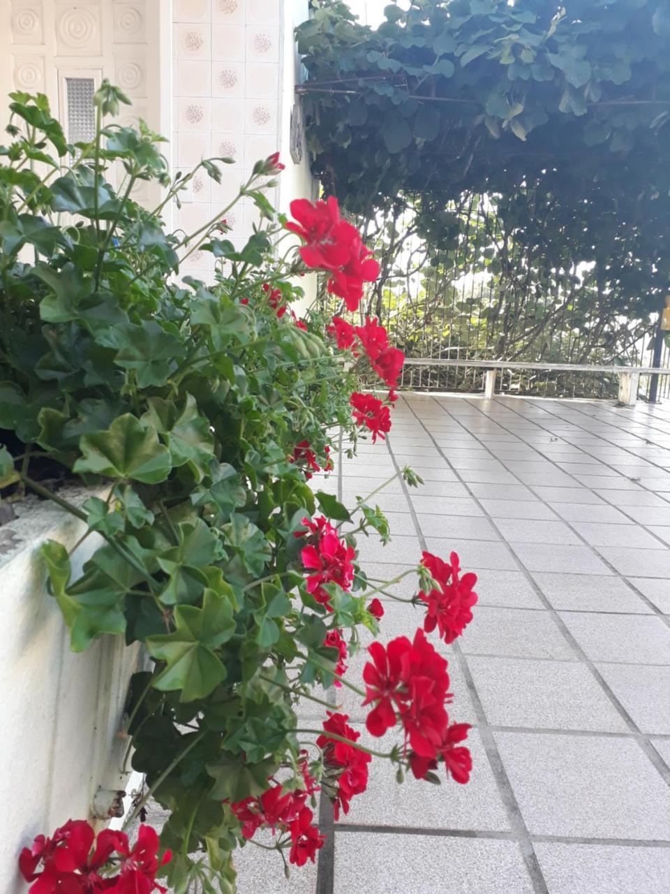 Pousada Don Marini Bento Gonçalves Εξωτερικό φωτογραφία